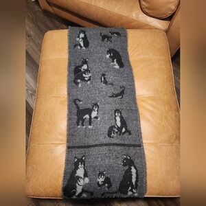 Black cat scarf